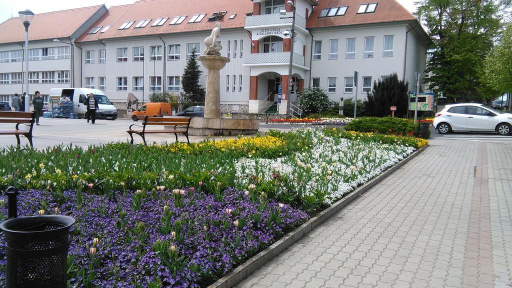 Magdi Panzio Hotel Heviz Exterior photo